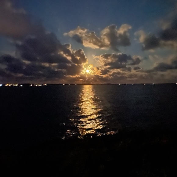 rishipania